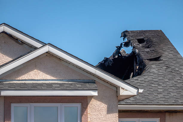 Top rated local Structural Rebuild specialists in Magnolia, NJ